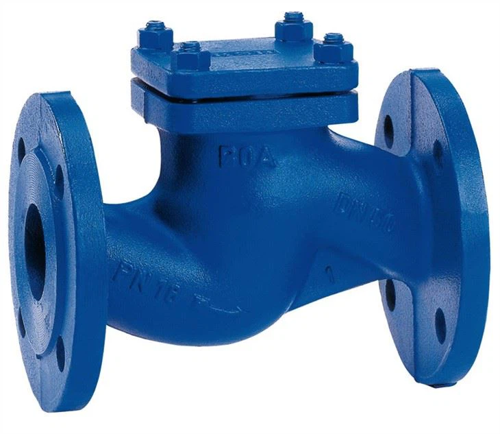 Piston Check Valve